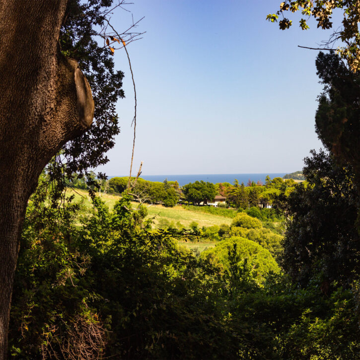 Esterno vista mare - Q Il Parco e gli esterni